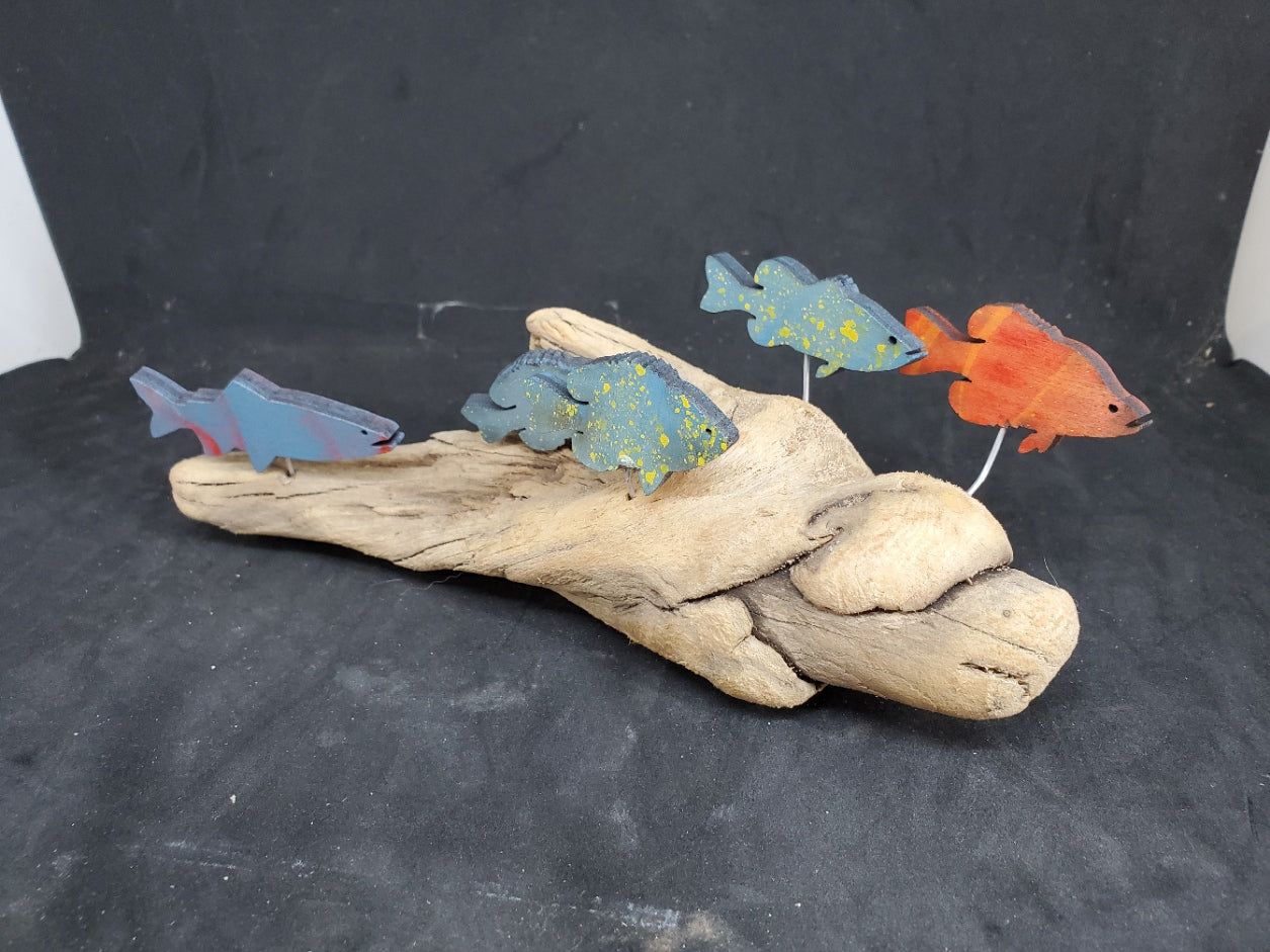 Driftwood Fish - 2404